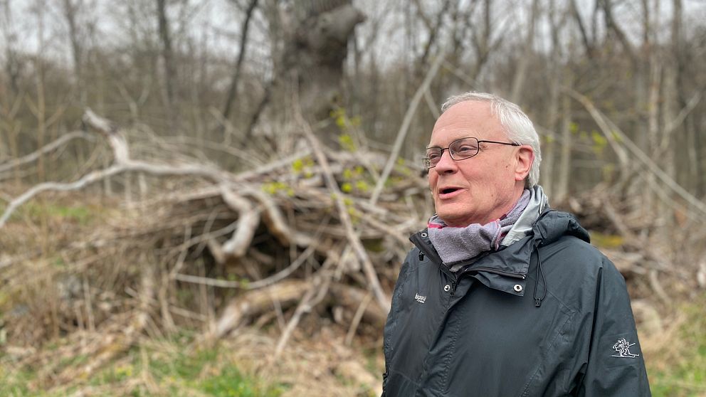 Bild på en man framför ett skogsbryn. Mannen heter Leif Lagebrand och är ordförande för Naturskyddsföreningen i Blekinge.