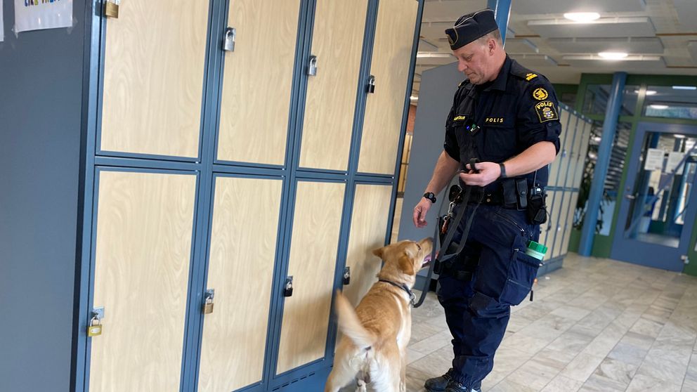 Hunden Tarras och hundföraren Lars Pell, iklädd polisuniform, står vid några skåp i korridoren på kyrkskolan i Ludvika, där de letar efter narkotika.