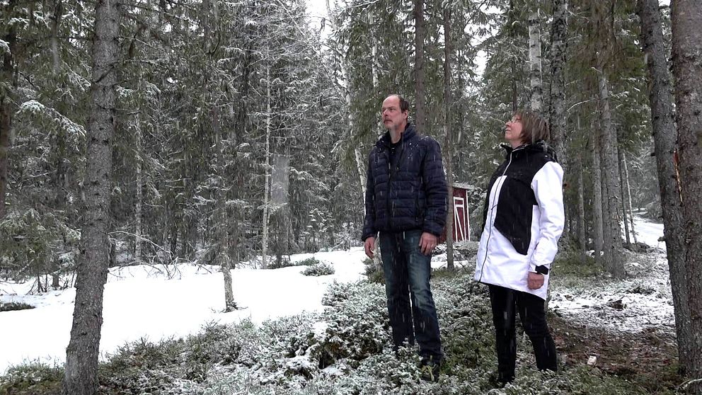 Lena Mikaelsson står tillsammans med sin man ute i skogen i Nästansjö. Hon har ljus page och glasögon. Det snöar i bakgrunden.