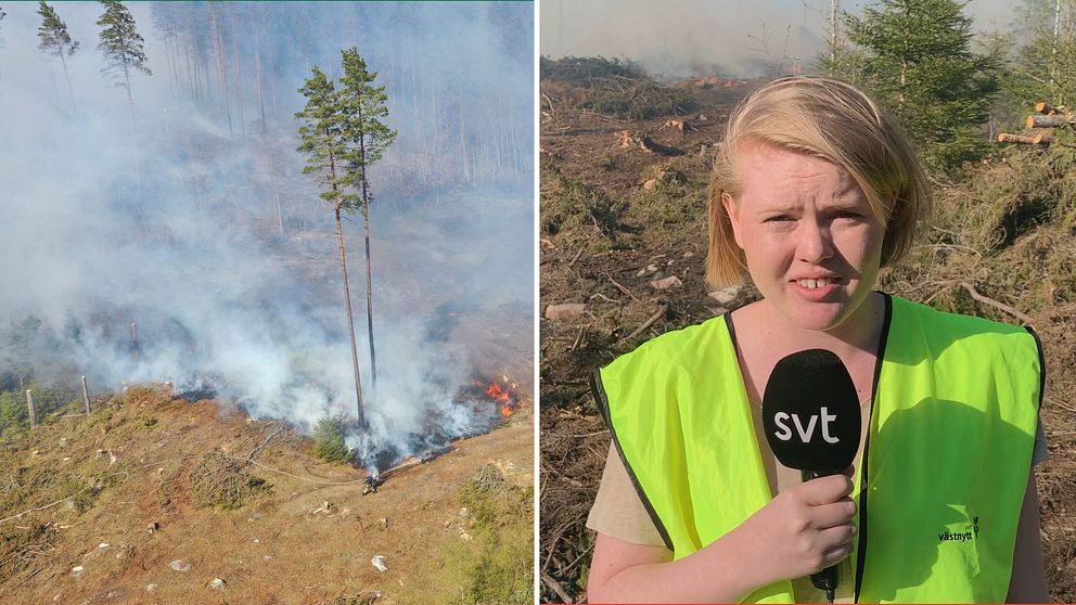 Tvådelad bild: En skogsbrand i Nitta utanför Ulricehamn fotograferad från ovan med en drönare och SVT:s reporter Ella Persson som står och rapporterar framför röken från skogsbranden.