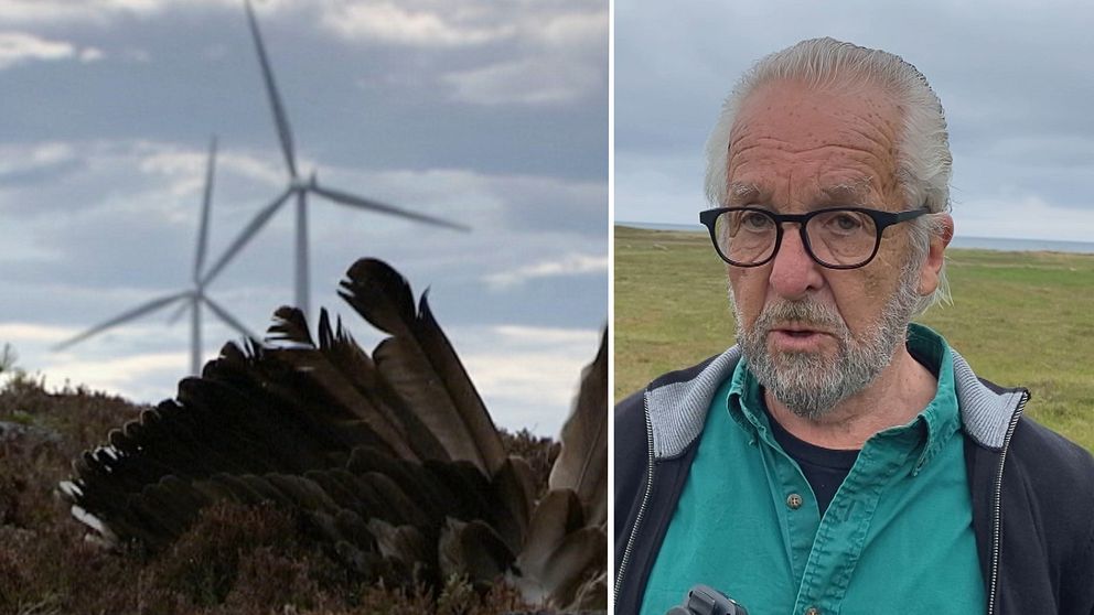 Hans Johansson, ordförande för Rädda Hallandskusten, tror att vindkradftsparkerna kommer påverka fågellivet negativt.