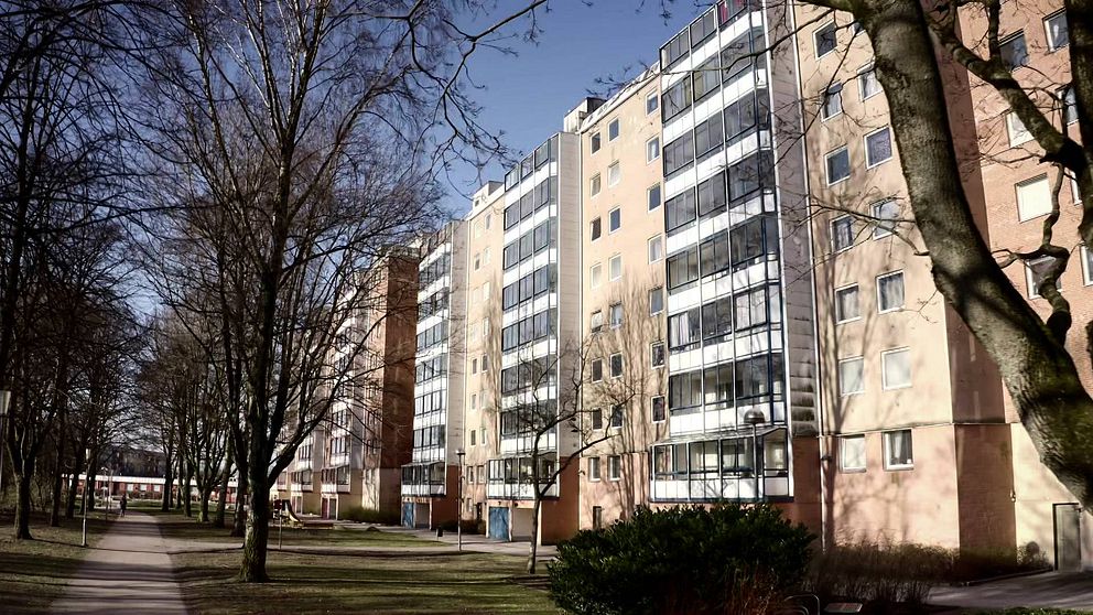 Bostadsområdet Andersberg med höghus i solen.