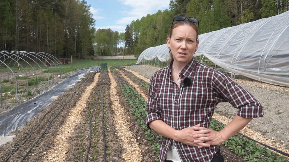 MaryAnn står framför några av sina långa odlingsbäddar. Till höger och vänster syns delar av två odlingstunnlar. I bakgrunden skymtar tre bikupor.