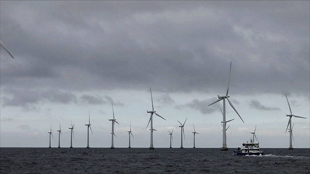 Flera vindkraftsverk som står ute till havs