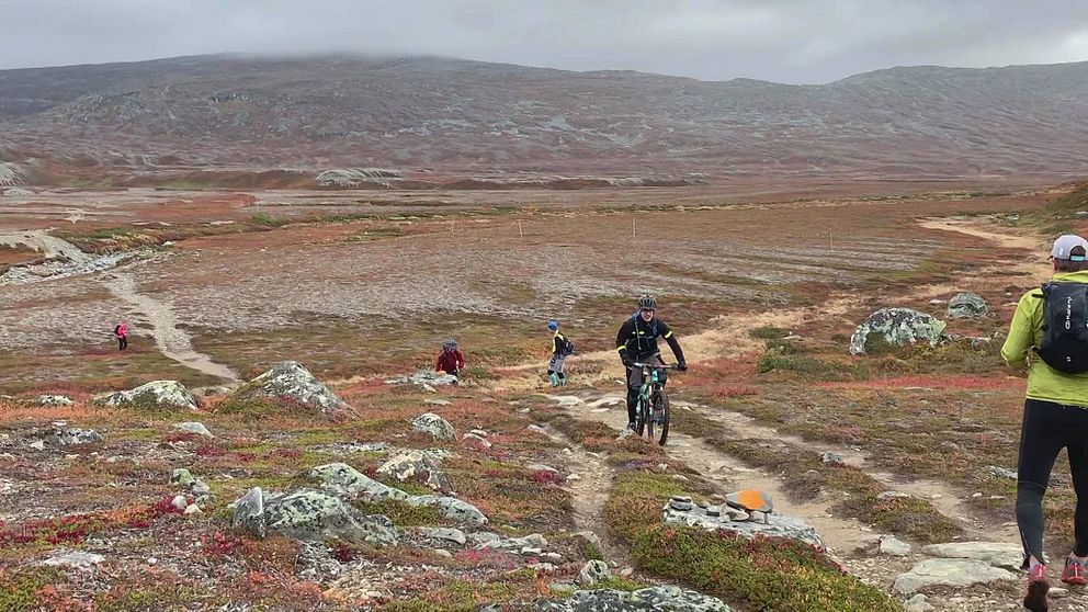 Cyklister på ett kalfjäll.