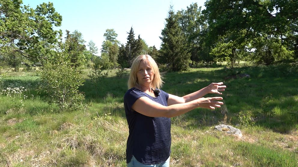 Kristina Händevik söker djur till sina betesmarker utanför Kalmar, men det är inte helt lätt.