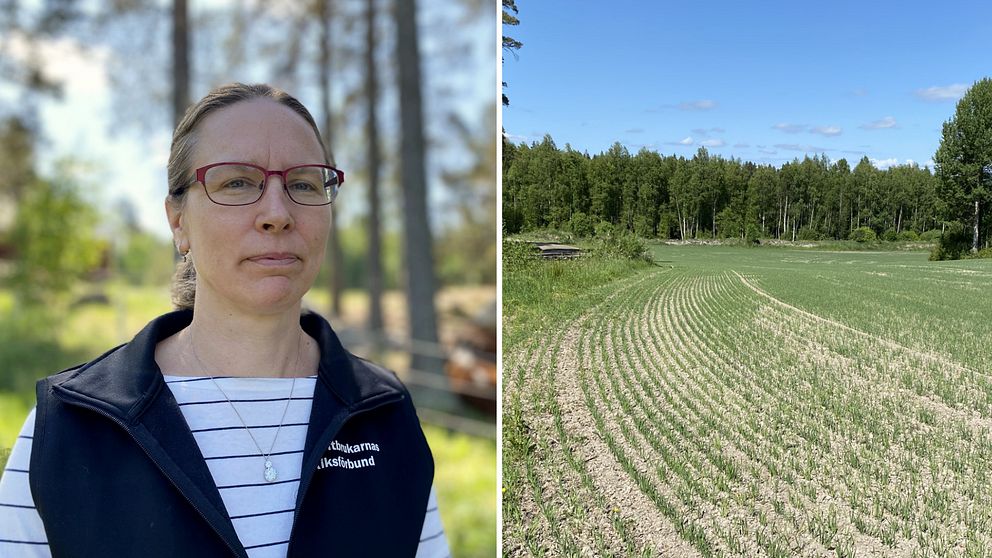 Maria Mehlqvist från LRF i Örebro, nationell krissamordnare och bild på vårsådd på torr jordbruksmark.