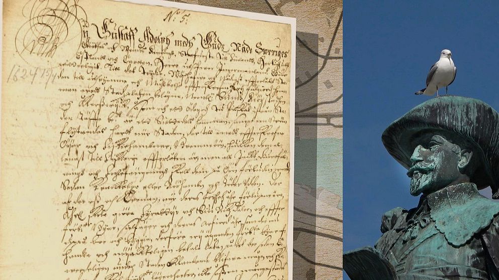 Stadens grundare Gustaf II Adolf, en mås, samt det stadsprivilegiebrev kungen undertecknade 1624, tre år efter grundandet av Sundsvall