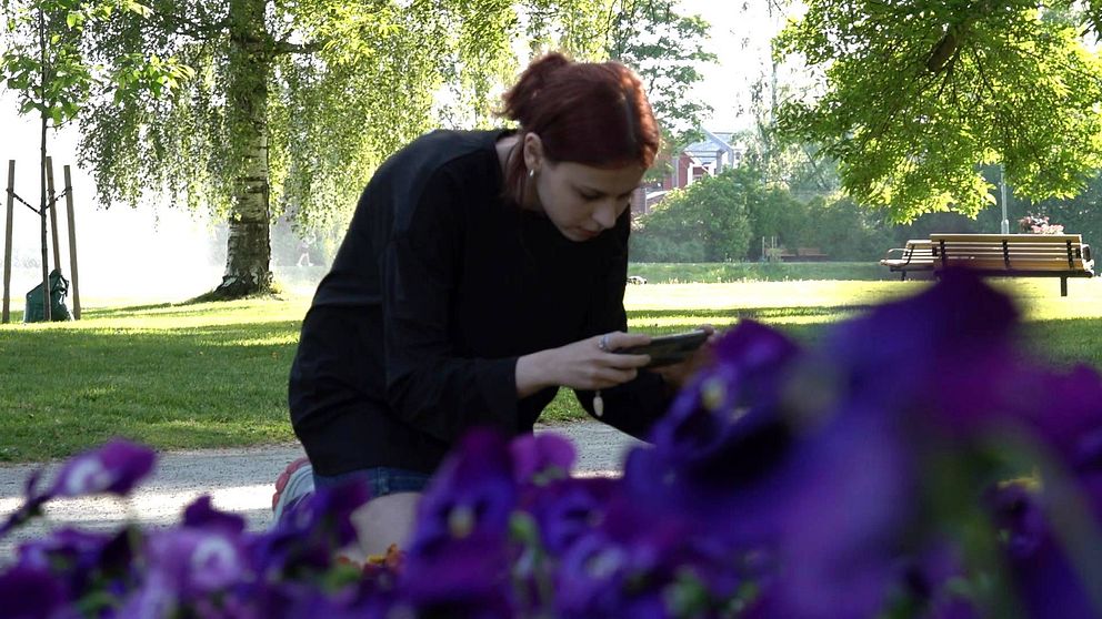 Inessa Kushnaraova fotograferar blommor med sin telefon, i stadsparken i Arvika.