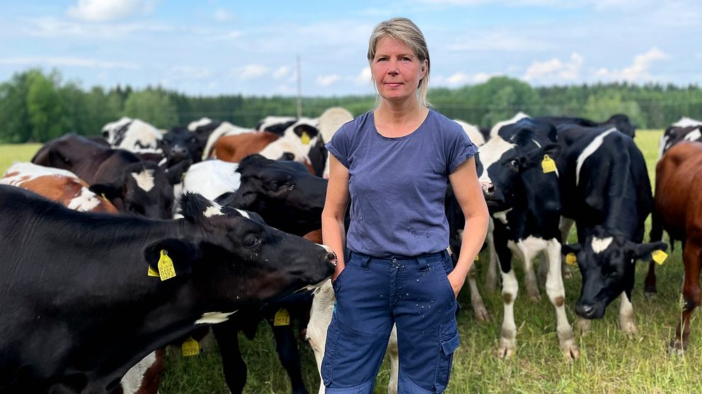 Mjölkbonden Kristin Södergren står i en hage med sina kvigor