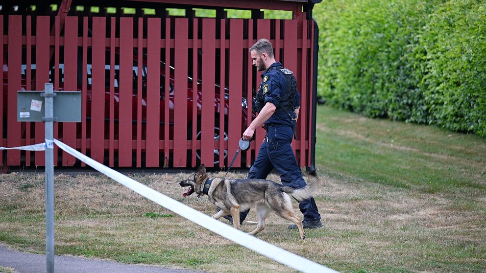 En polis med en polishund söker i området.