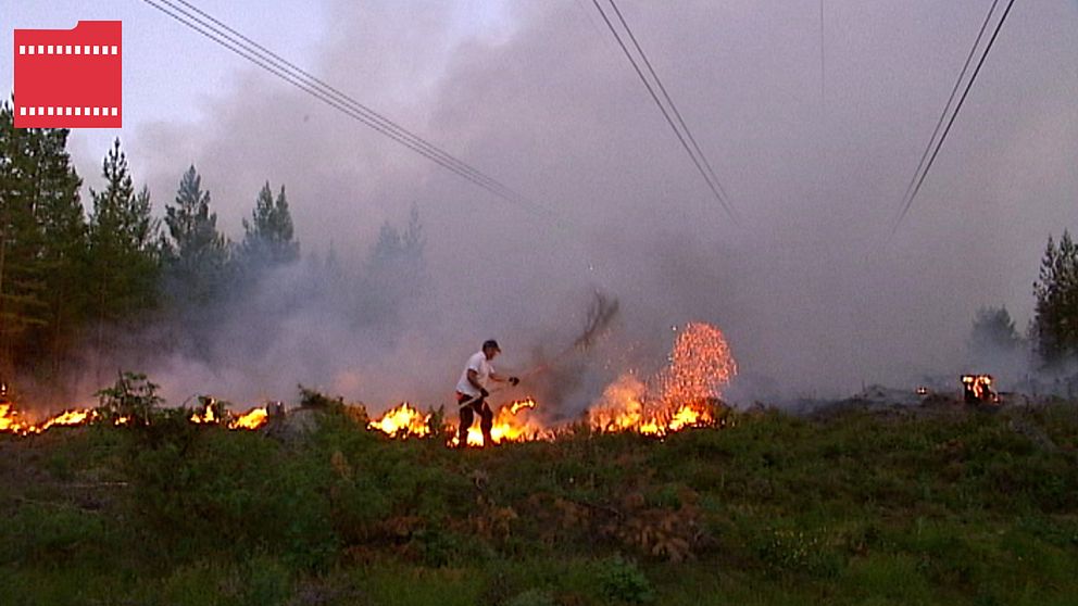 ”Det är tufft man vet inte var det slutar” Rolf Sundell, markägaren som med en gren försökte mota elden på sina marker i Gävleborgs län under skogsbränderna 2018.
