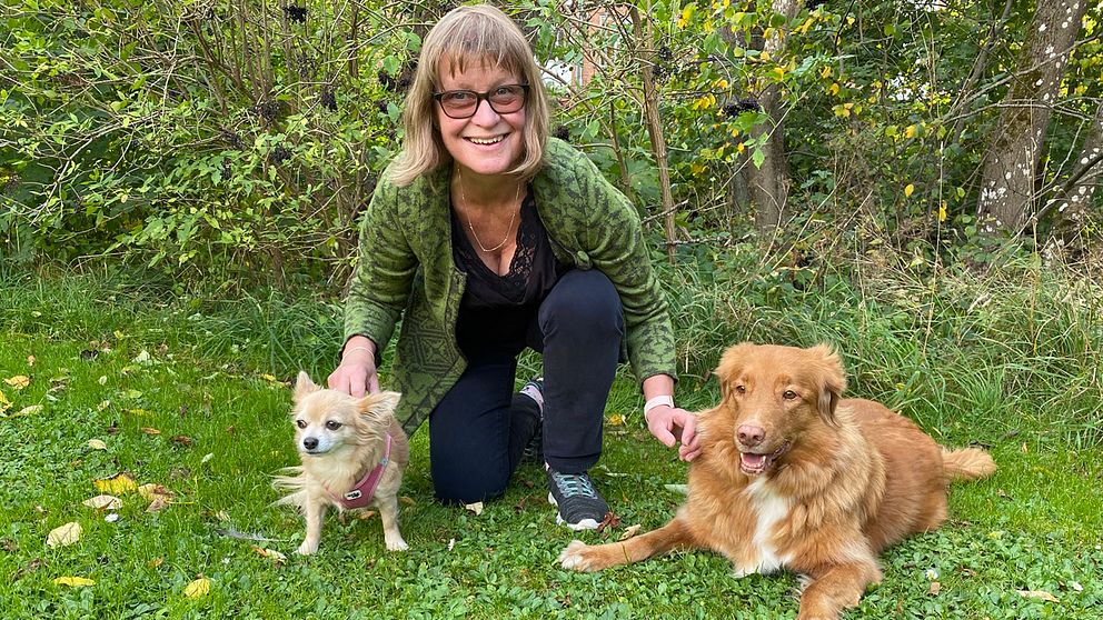 Forskaren Lena Lidfors sitter på huk på gräset, hon sitter mellan två hundar.