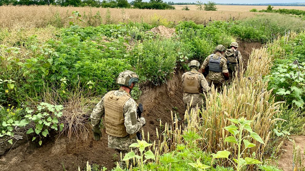 Soldater iklädda kamoflagekläder går på led i en skyttegrav i ett fält på landsbygden.