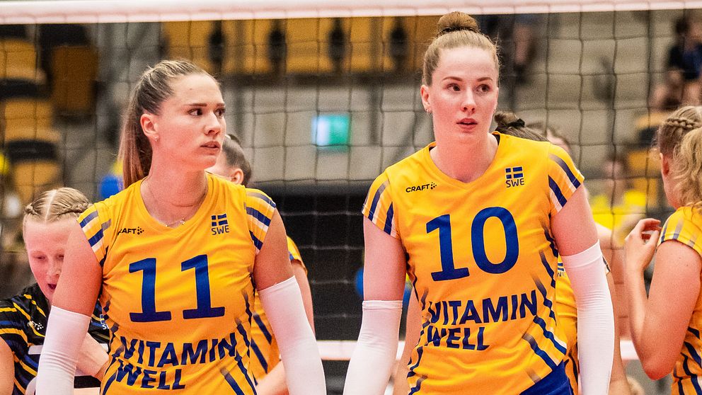 Det blir inget SOK-stöd för svenska volleybolldamerna i nuläget.