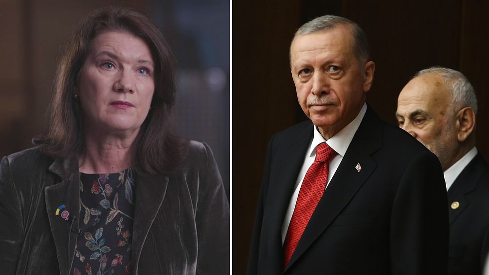 Tidigare utrikesminister Ann Linde och Turkiets president