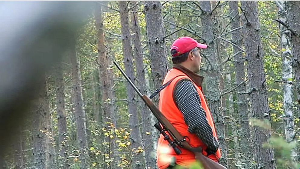jägare i röd keps och signalväst med ett gevär över axeln