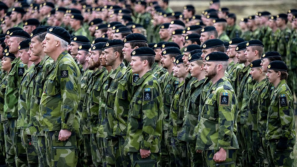 En kort startsträcka, det svenska totalförsvaret och vår försvarsindustri – hör vad experterna tror att vi skulle bidra med.