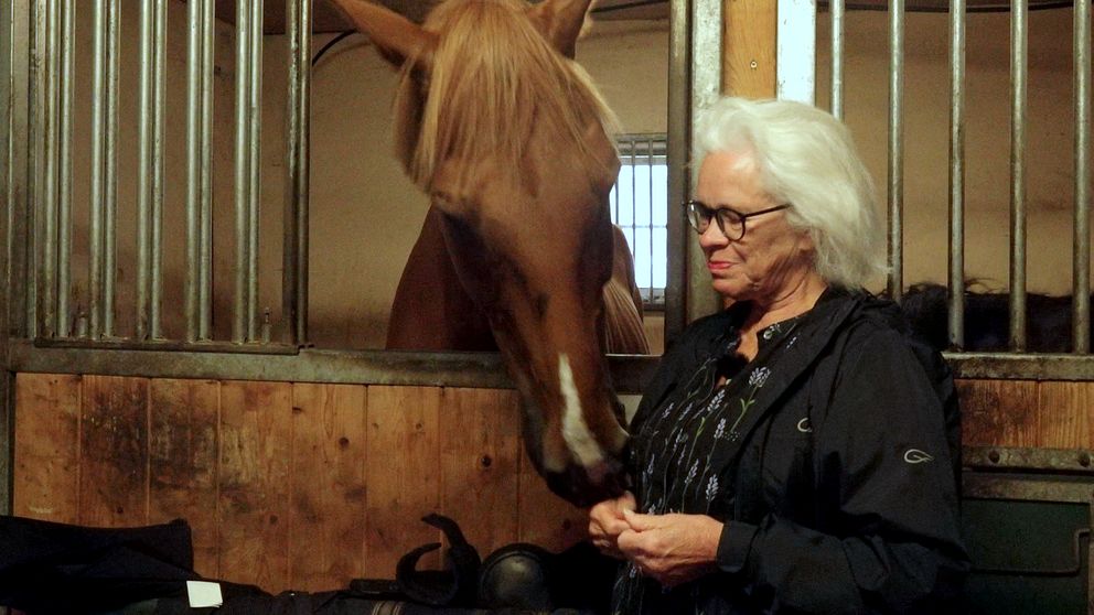 Cecilia Kjellgren sölvesborgs ridklubb med en häst