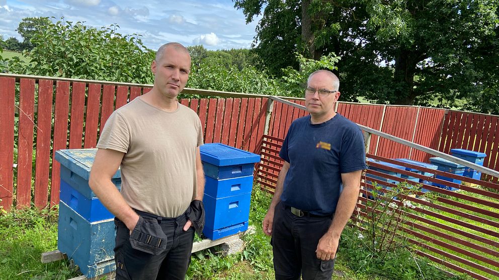 Martin Svensson och Håkan Albrektsson ser allvarliga ut. De står i en trädgård, bakom dem står det bikupor.