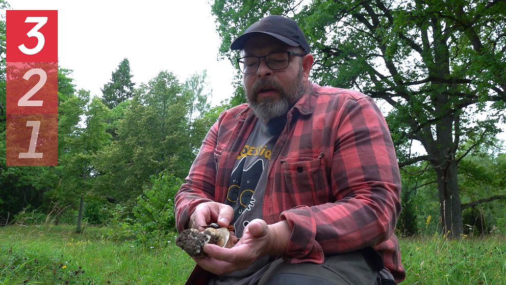 En man med rödsvartrutig skjorta, keps och glasögon håller upp en svamp för kameran.