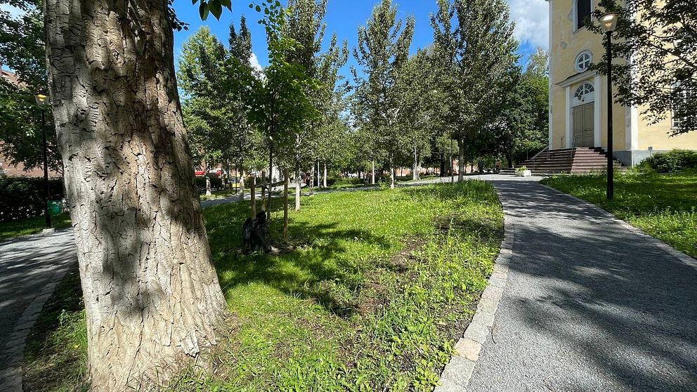 Park med stora träd, grönt gräs och grusgångar. I bakgrunden till höger syns en gul mindre kyrka
