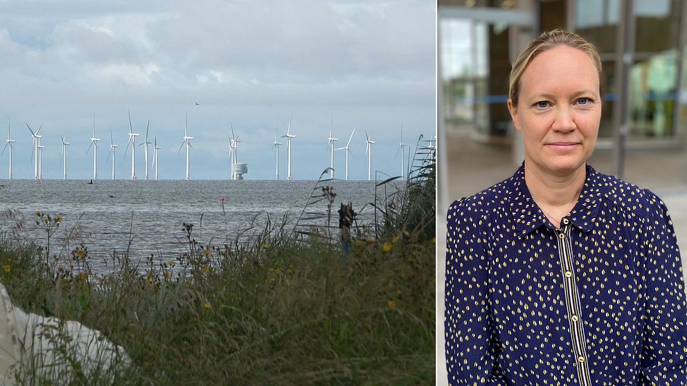 Till vänster: vindkraftparken Lillgrund utanför Malmö. Till höger: Eons elhandelschef Emma Tronarp.