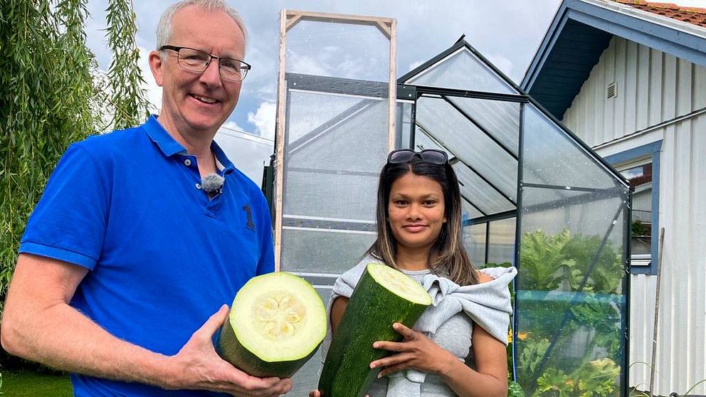 Från vänster en man i blå pikétröja som håller i en halva av en gigantiskt zucchini, bredvid honom står en ung kvinna som håller i andra halvan av zucchinin.