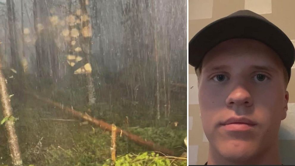 Splittbild. Till vänster en regnig skog och fallna träd. Till höger en man med keps som som sitter mot en vägg och tittar rakt in i kameran. Martin befann sig mitt i skogen när ovädret Hans drog in över länet.