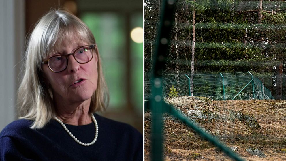 Utredaren Agneta Bäcklund, bredvid en bild på en inhängnad gård.