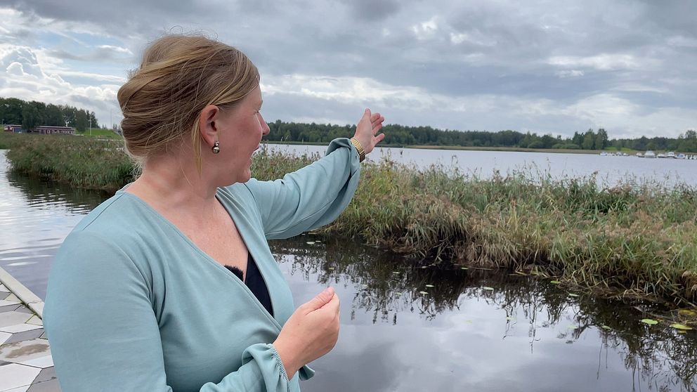 Skadechef Malin Brandin Bylund på Länsförsäkringar Värmland blickar ut över Mariebergsviken i Karlstad, ett område där båtar kan ha svämmats över av regnovädret Hans