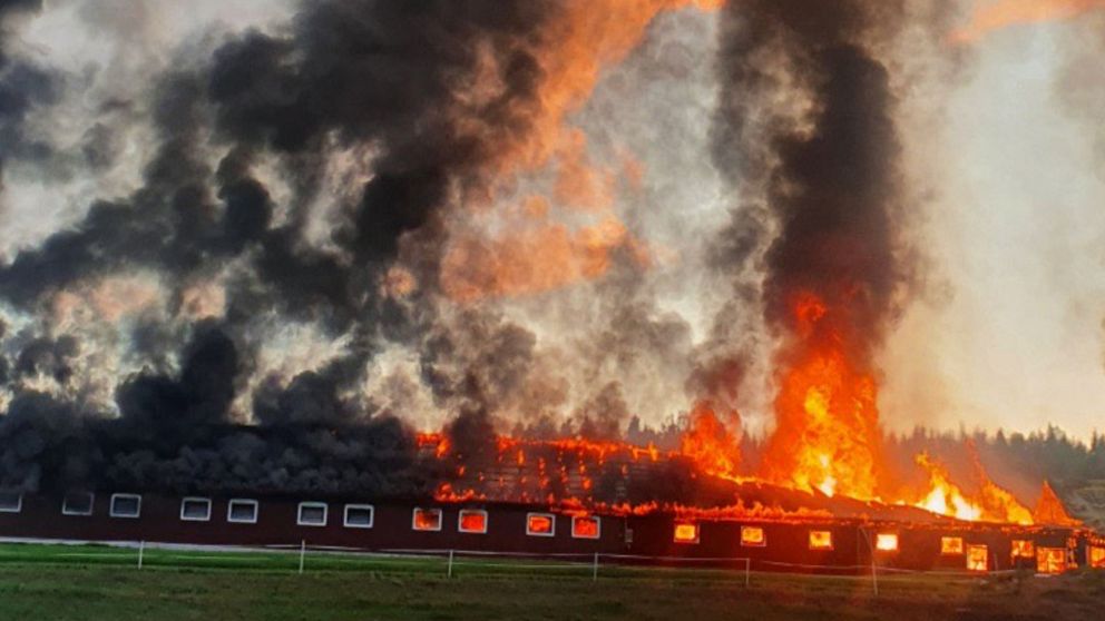 Bild på ladugård som brinner kraftigt i Vännäs