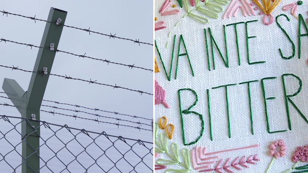 Taggtråd, och broderi.