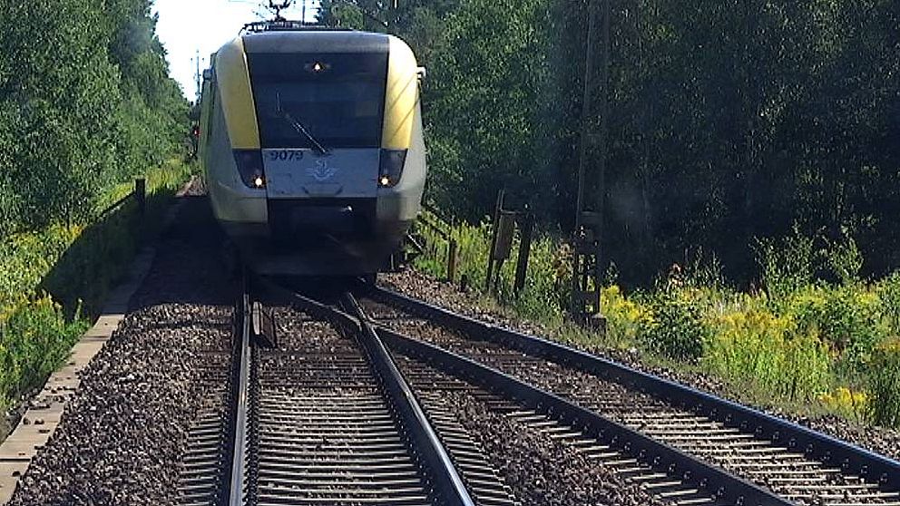 Ett tåg på fryksdalsbanan en sommardag