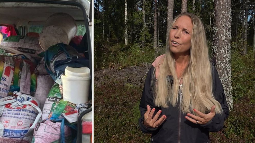 Till vänster: Påsar med bär lastade i en skåpbil. Till höger: Bild på Eva Norlin som står i skogen.