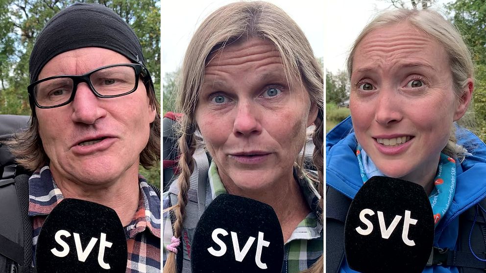 Tre olika bilder bredvid varandra med en man och två kvinnor med vandringskläder som intervjuas i tv.