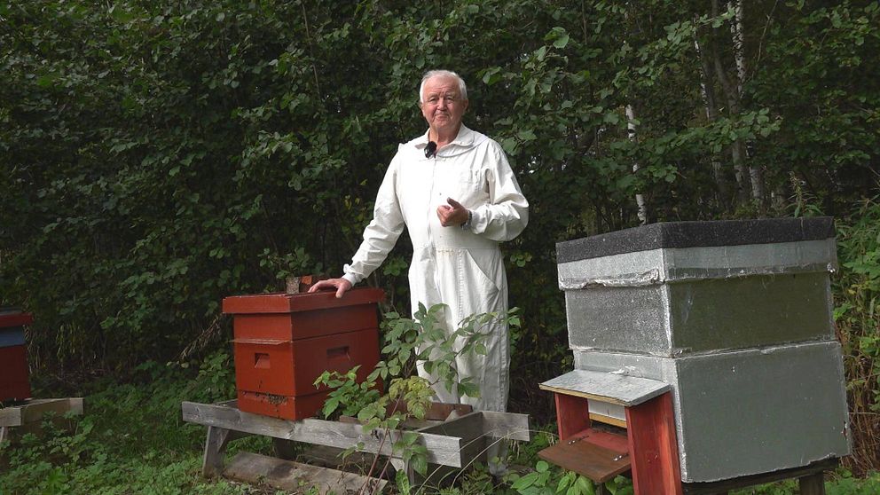 En äldre man med biodlardräkt, Åke Jonsson, står vid några bilådor.