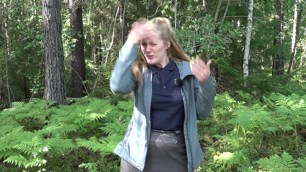 Reportern står i skogen och viftar med händerna framför ansiktet.