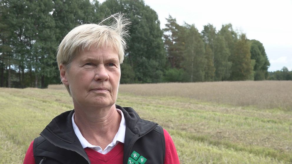 LRF i Jönköpings vice ordförande Christina Nyemad vid en åker.