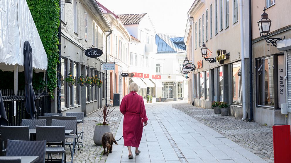 Kvinna promenerar hund. Bild tagen i Vadstena.