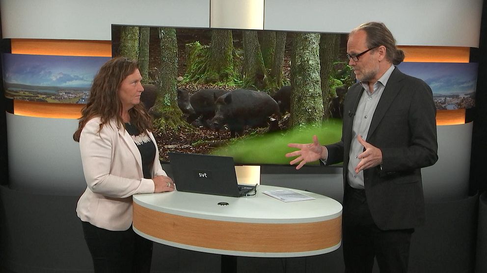 Jeanette Blackert, ordförande för LRF Östergötland, och programledare Carl Bruno Tersmeden i studion.