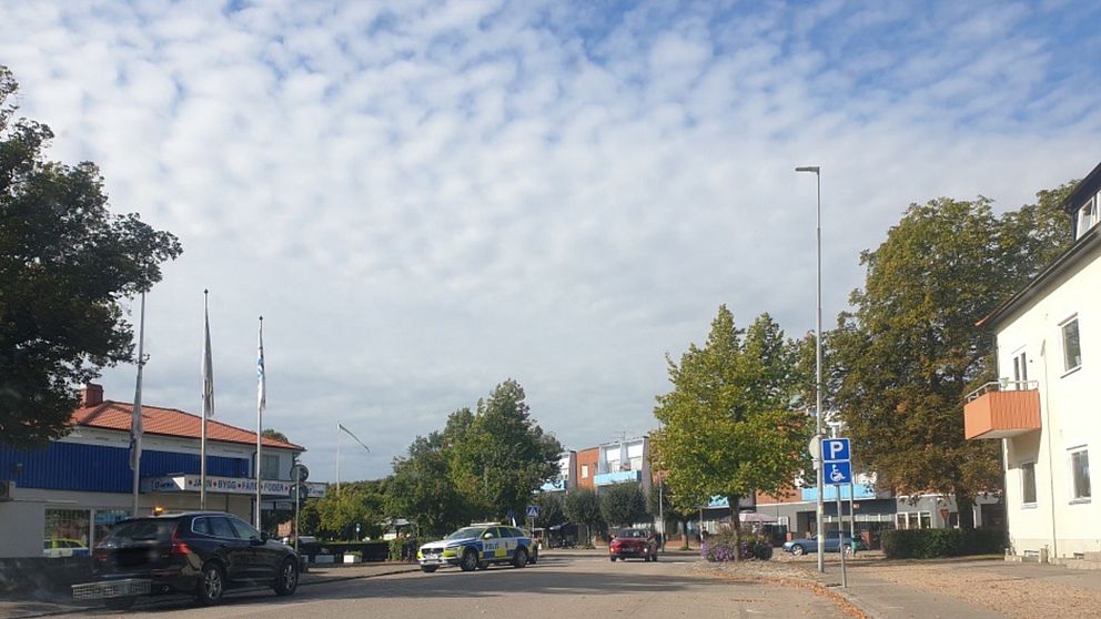 En älg fick avlivas inne i en butik i centrala Ljungbyhed på lördagen. Älgen hade sprungit in genom en glasruta till butiken. Ingen person kom till skada.