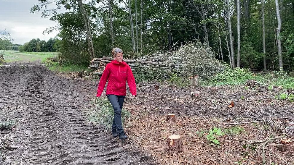 Susanna Hansen,  vattensamordnare på Västerås stad, vandrar vid den planerade våtmarken mellan Rönnby och Gryta.
