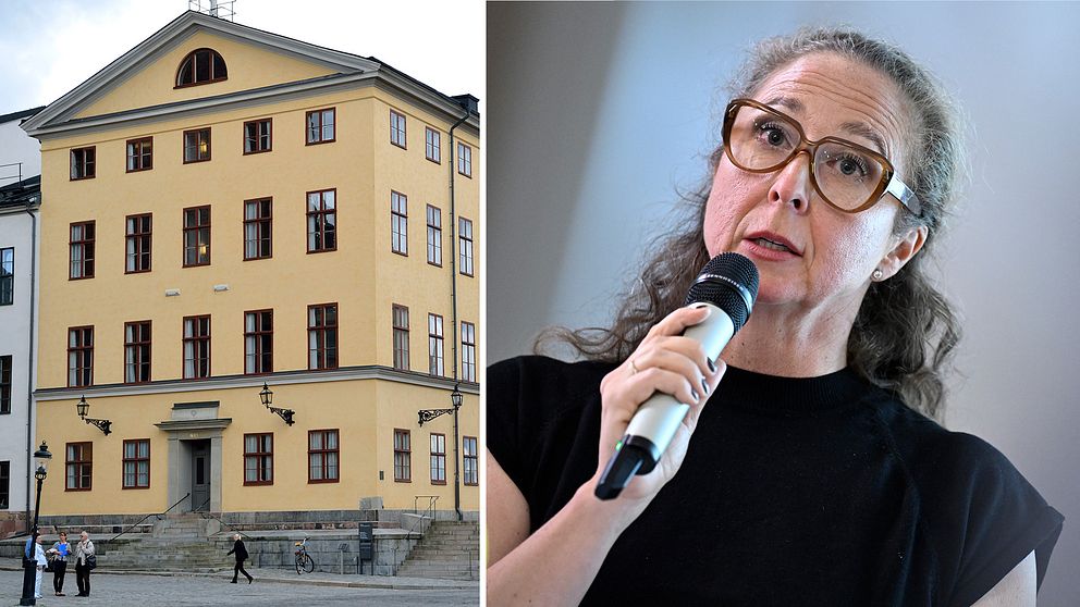 Samebyns juridiska ombud Camilla Wikland, om förhandlingen i Högsta Förvaltningsdomstolen.