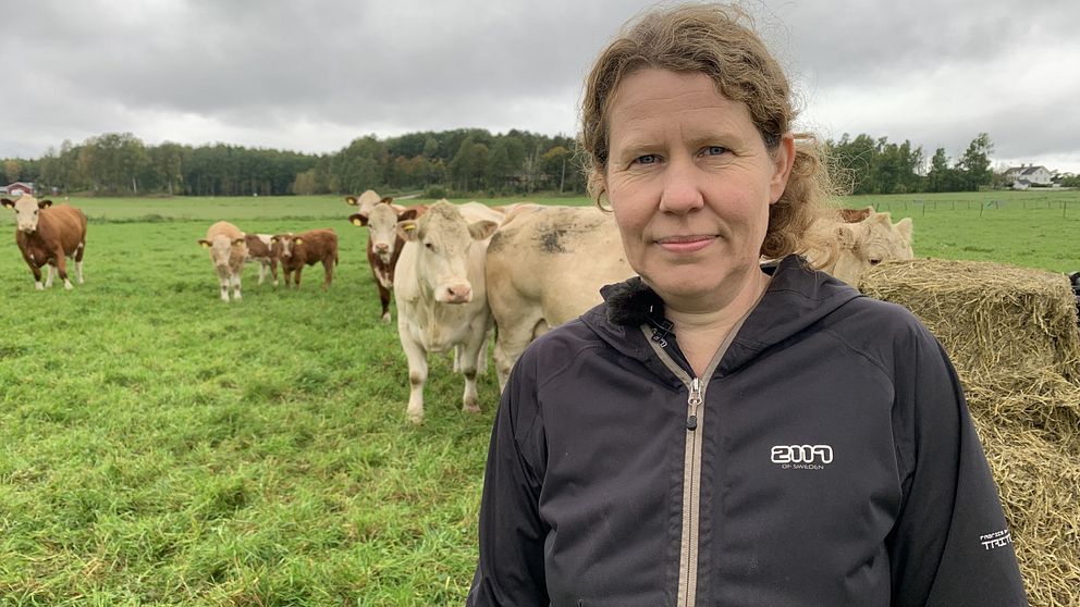 Ekolantbrukaren Marie Larsson står i svart jacka och ser in kameran framför några kor som går i bakgrunden och äter på en ensilagebal. Himlen är grå och gräset är grönt.
