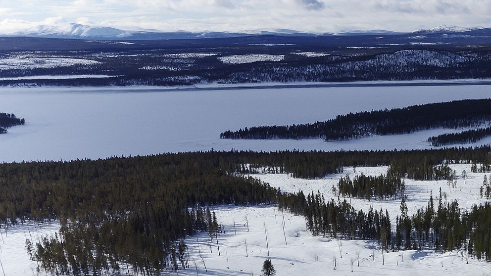 Området där guvan i Gallók/Kallak kan komma att ligga