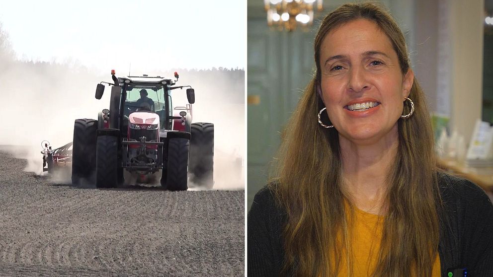Tvådelad bild: En jordbrukare som arbetar i en traktor på ett fält och Sabina Hualpa Blomgren på Hushållningssällskapet.