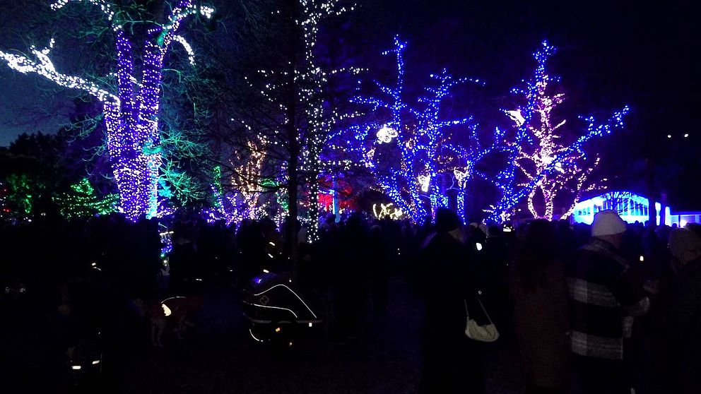 The Magic Forest, en ljusshow på träd i centrala Örebro.