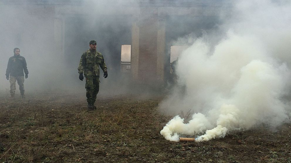 Svensk militär är i Ukraina för att utbilda ukrainarna.