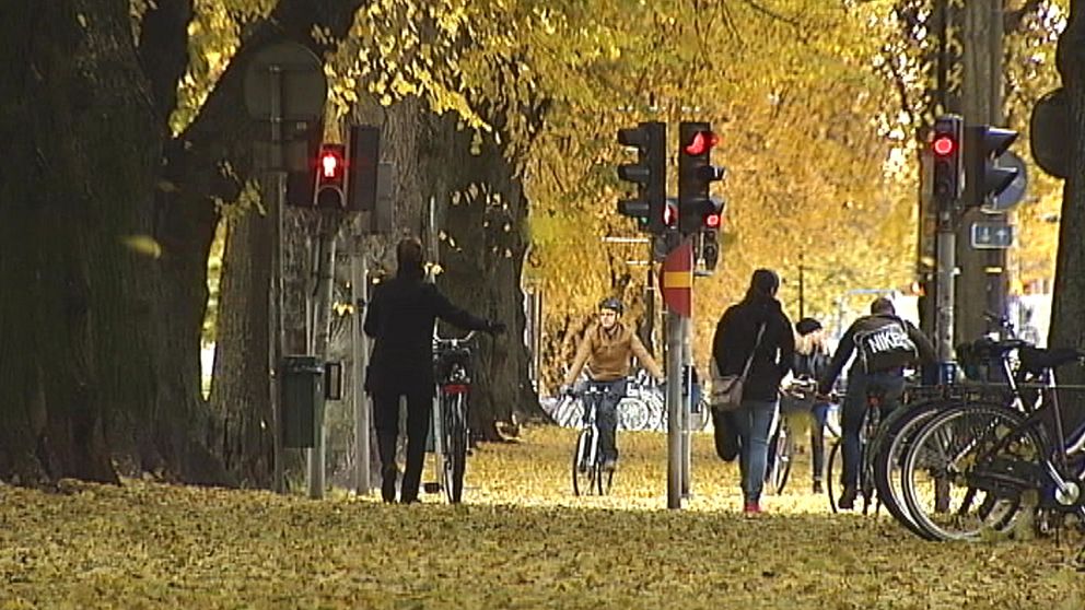 Höstfärg i Gävle den 27 oktober.